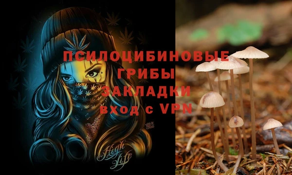 дмт Вязьма