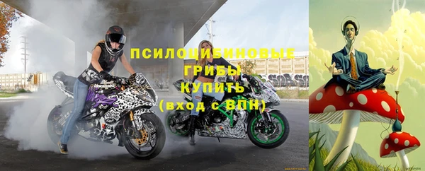 дмт Вязьма