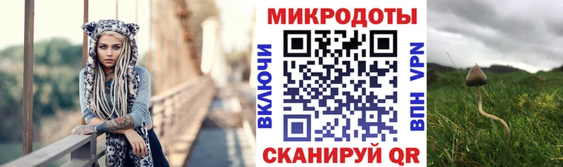 Галлюциногенные грибы GOLDEN TEACHER  kraken онион  Камышин  наркошоп 
